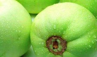 绿色的香瓜皮能吃吗视频 绿色的香瓜皮能吃吗