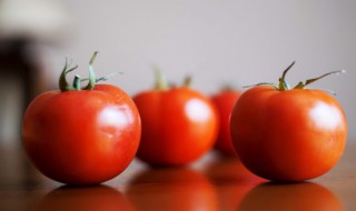 青菜西红柿汤面的家常做法 青菜西红柿汤面的家常做法窍门