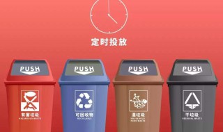 上海垃圾分类哪四类（上海垃圾分类哪四类分别是）