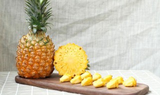 菠萝是啥 菠萝是啥性水果