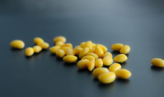 黄豆吃多了会怎么样 小孩黄豆吃多了会怎么样