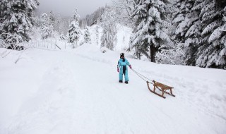 初学者滑雪场地怎么选择比较好 初学者滑雪场地怎么选择
