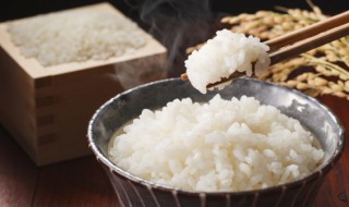 蒸子蒸米饭教程视频 蒸子蒸米饭教程