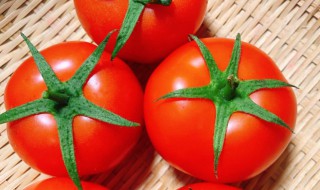西红柿吃多了会怎么样? 西红柿吃多了会怎么样