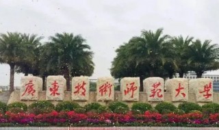 广东有哪些师范大学 广东有哪些师范大学本科