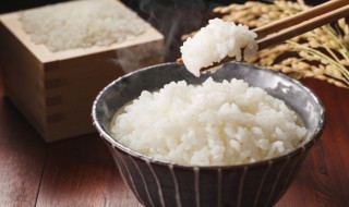 高压锅煮米饭放多少水 高压锅煮米饭放多少水合适
