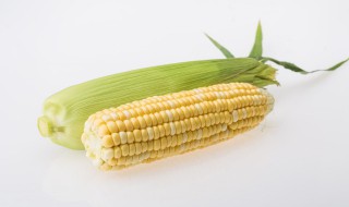 煮玉米的正确方法 煮玉米需要放盐吗
