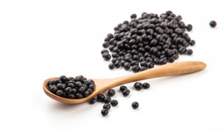 小黑豆的功效与作用禁忌有哪些 小黑豆的功效和作用