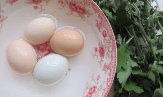 煮鸡蛋去湿毒是真的吗 煮鸡蛋祛湿是什么原理