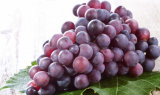 中国种植葡萄始于哪个朝代 中国种植葡萄始于哪个朝代