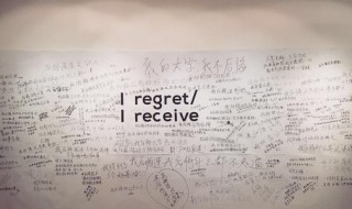 regret是什么意思 REGRET是什么意思中文翻译