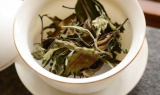 白茶品种有哪几种 白茶品种等级排名