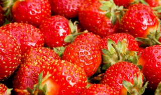 草莓上的白点是种子吗 草莓上的白点是什么