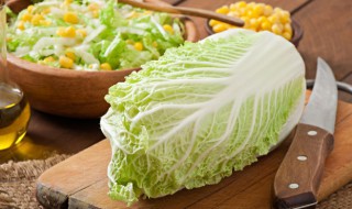 白菜炖冻豆腐怎么做最好吃 白菜炖冻豆腐的家常做法