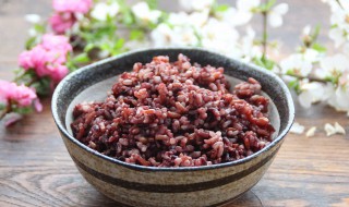 活性糙米和糙米饭的区别 活性糙米饭的家常做法
