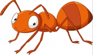 家里有小黄蚂蚁的原因（小黄家蚁的窝一般在哪）