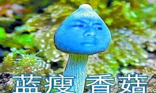 蓝瘦香菇出处 蓝瘦香菇出处是什么