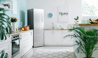 冰箱隔热板怎么清洗最干净 冰箱隔热板对冰箱散热有影响