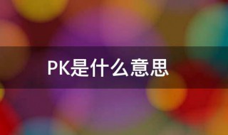 什么是pk 什么是PKI