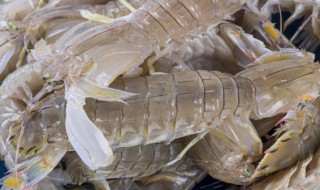 皮皮虾怎么洗 皮皮虾怎样去内脏和虾线