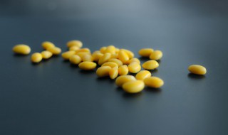 长期吃煮熟的黄豆的功效 长期吃煮熟的黄豆的功效与作用