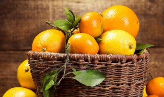 橙子能不能煮着吃 橙子能不能煮熟吃