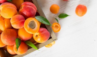 来例假可以吃什么水果减肥快 来例假可以吃什么水果
