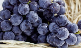 黑葡萄的吃法有哪些图片 黑葡萄的吃法有哪些