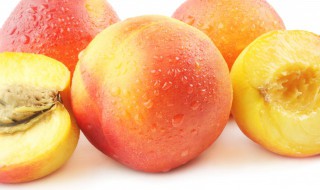 水蜜桃的作用与功效果 水蜜桃的功效与作用吃法