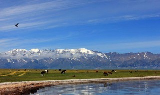 十大情侣旅游景点 情侣旅游景点推荐