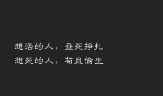 高冷又随性的句子 霸气高冷到爆的句子