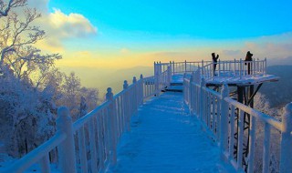 带小孩去哪里旅游最好（带小孩去哪里旅游最好广州）