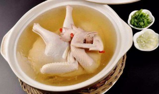 孕妇喝的鸡汤怎么做 孕妇喝的鸡汤怎么做好吃又营养
