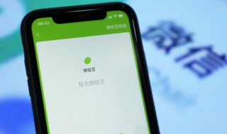 微信豆是什么?如何使用微信豆?（微信豆是干啥用的）