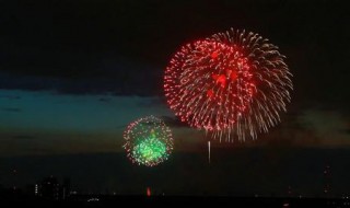 烟花的组成结构 烟花的组成结构图片