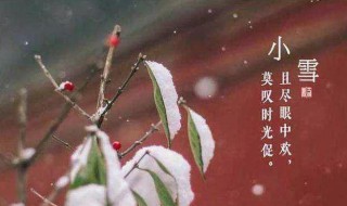 小雪节气吃什么传统食物（小雪节气应该吃什么?）