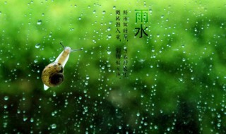 雨水节气吃什么传统食物 雨水节气应该吃什么