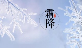 霜降节气的风俗食物 霜降的节气美食是什么