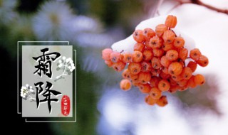 霜降节气祝福语（霜降节气祝福语句）