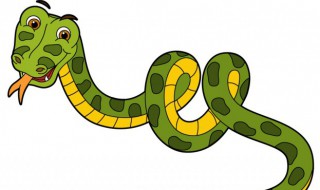梦见绿色的蛇 梦见绿色的蛇是什么意思周公解梦