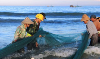 鱼池一吨水放多少盐（鱼池一立方水放多少盐）