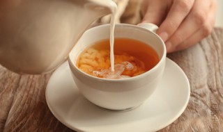 茶百道厚乳奶茶什么意思 茶百道厚乳奶茶和普通奶茶哪个好喝