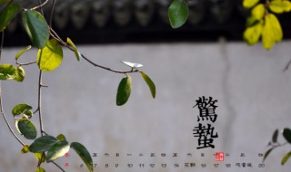 惊蛰节气有什么传统习俗（惊蛰的节气民间传说）