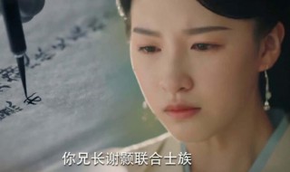 锦绣南歌陆婉儿和陆远介绍（锦绣南歌陆婉儿和陆远介绍一样吗）