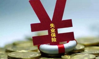 领了失业金和失业补助金的区别（领了失业金和失业补助金的区别是什么）