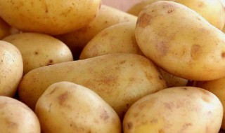 吃土豆有什么作用和功效 吃土豆有什么作用