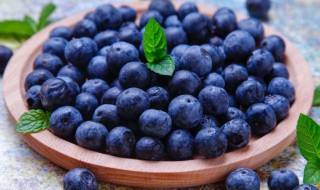 蓝莓有什么功效和用处 蓝莓有什么功效