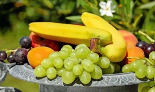 吃哪种水果对肾好 经常吃什么水果对肾好