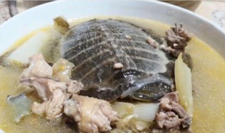 清炖鳖汤的做法窍门 清炖鳖汤的做法
