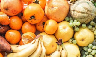 水果怎么吃最健康营养 水果怎么吃最健康